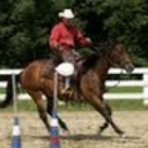 Meet your Posher, Ronald